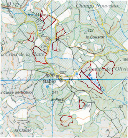 Les vignes du domaine (c) IGNLes vignes (c) IGN